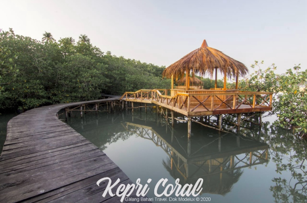 kepricoral3