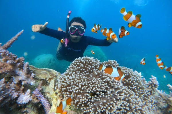 Snorkeling Tour