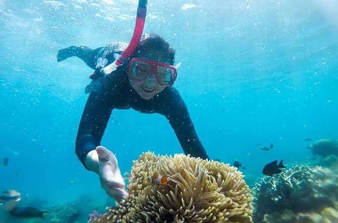 snorkeling6